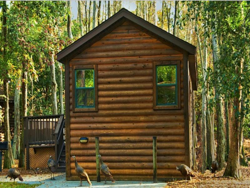 The Cabins At Disney'S Fort Wilderness Resort Lake Buena Vista Bagian luar foto