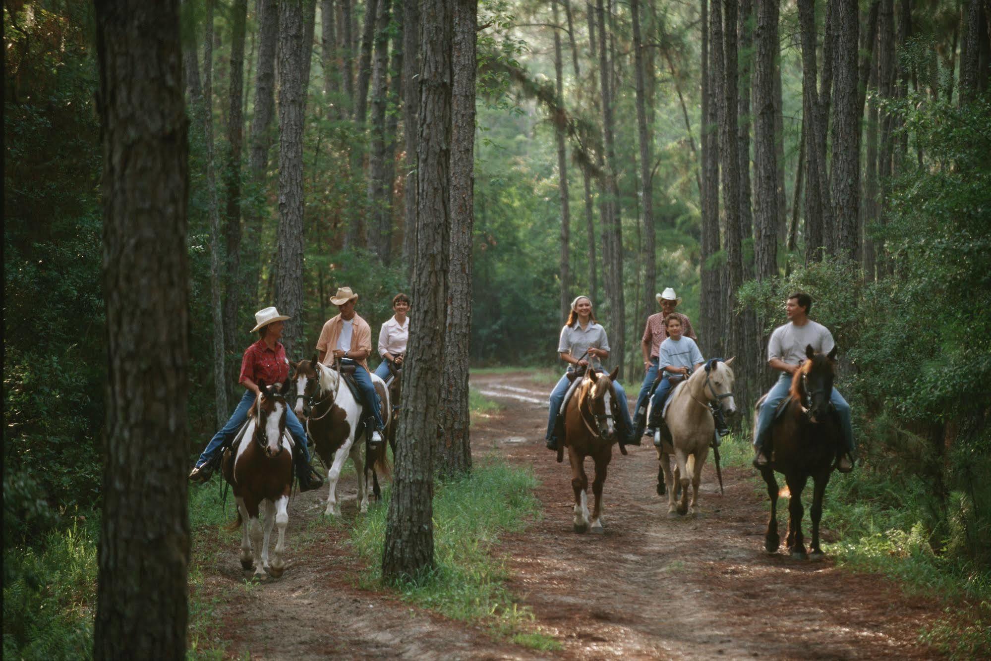The Cabins At Disney'S Fort Wilderness Resort Lake Buena Vista Bagian luar foto