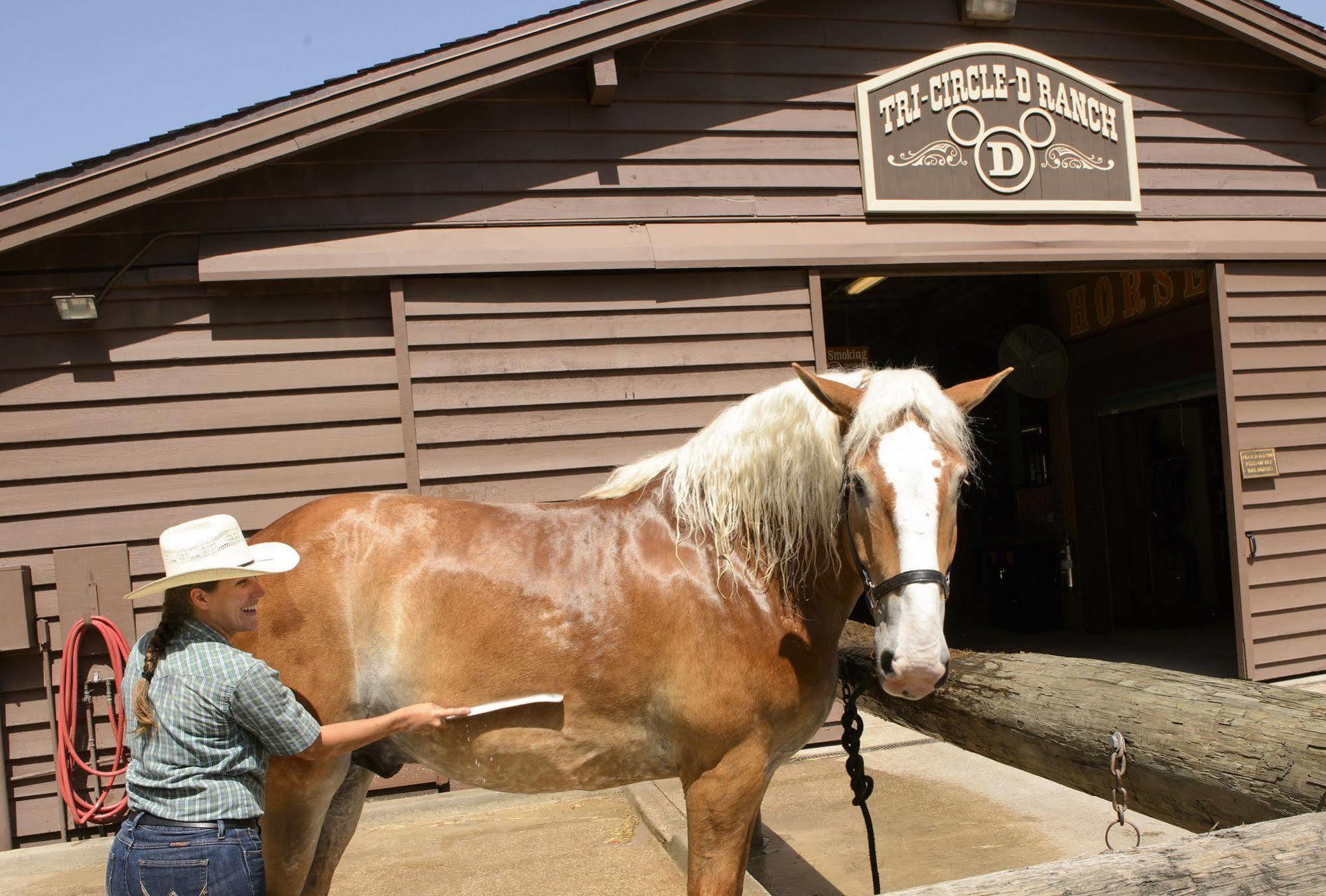The Cabins At Disney'S Fort Wilderness Resort Lake Buena Vista Bagian luar foto